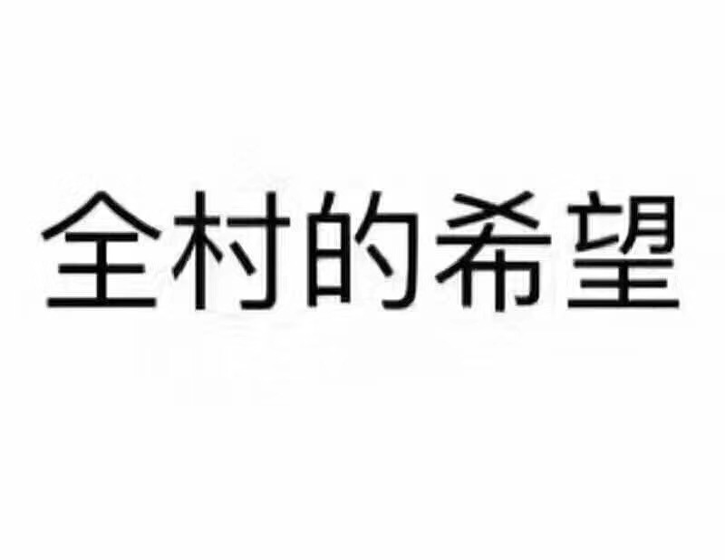 俺们村只有俺一个是做货代的,俺是俺们全村的希望!